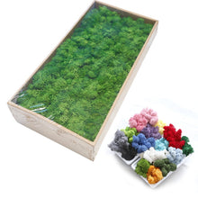 Load image into Gallery viewer, 20G Natural Moss Artificial Plant Eternal Moss Home Garden Decoration DIY Flower Material Micro Landscape Accessories