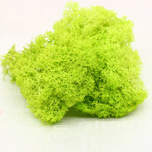 Load image into Gallery viewer, 20G Natural Moss Artificial Plant Eternal Moss Home Garden Decoration DIY Flower Material Micro Landscape Accessories