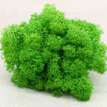 Load image into Gallery viewer, 20G Natural Moss Artificial Plant Eternal Moss Home Garden Decoration DIY Flower Material Micro Landscape Accessories