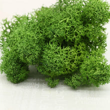 Load image into Gallery viewer, 20G Natural Moss Artificial Plant Eternal Moss Home Garden Decoration DIY Flower Material Micro Landscape Accessories