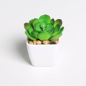 Erxiaobao Lovely Artificial Plants with Pot Simulation Succulents Mini Bonsai Potted Placed Green Fake Plants Table Decoration