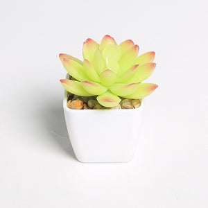 Erxiaobao Lovely Artificial Plants with Pot Simulation Succulents Mini Bonsai Potted Placed Green Fake Plants Table Decoration