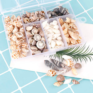 About 100Pcs/Box Natural Conch Shells Mini Conch Corn Screw Wall Decoration DIY Aquarium Landscape Seashells Crafts/party Decor