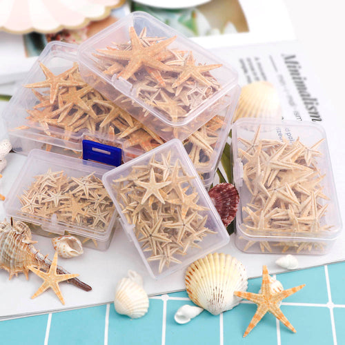 1 Box Natural Starfish Seashell Beach Craft Natural Sea Stars DIY Beach Wedding Decoration Crafts Home Decor Epoxy 1-5cm