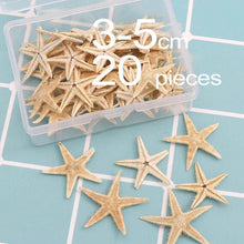 Load image into Gallery viewer, 1 Box Natural Starfish Seashell Beach Craft Natural Sea Stars DIY Beach Wedding Decoration Crafts Home Decor Epoxy 1-5cm