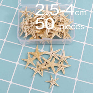 1 Box Natural Starfish Seashell Beach Craft Natural Sea Stars DIY Beach Wedding Decoration Crafts Home Decor Epoxy 1-5cm