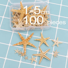 Load image into Gallery viewer, 1 Box Natural Starfish Seashell Beach Craft Natural Sea Stars DIY Beach Wedding Decoration Crafts Home Decor Epoxy 1-5cm