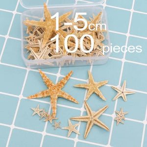 1 Box Natural Starfish Seashell Beach Craft Natural Sea Stars DIY Beach Wedding Decoration Crafts Home Decor Epoxy 1-5cm