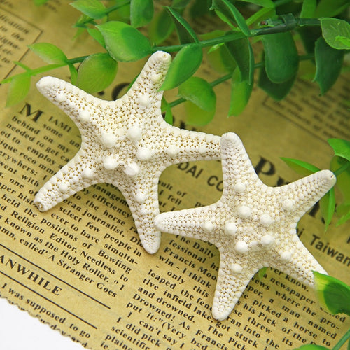 Home Decor 3PC white starfish 3-8cm White Natural Finger Sea Star Wedding Decor seashells  seafish  party beige seastar crafts